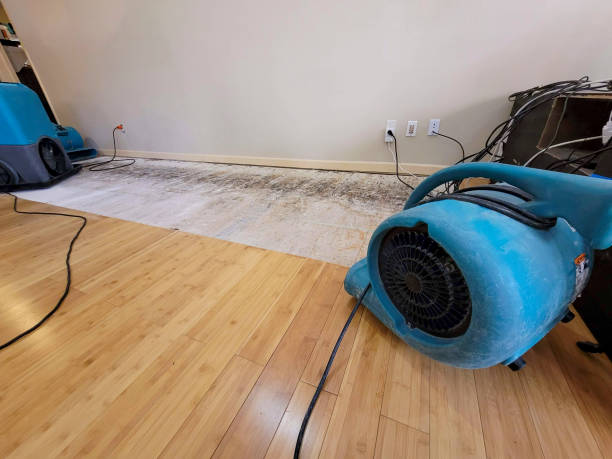 Professional Emergency Water Damage technician working in Needham, MA